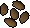 Calquat tree seed 5.png