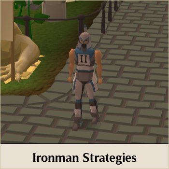 Ironman Strategies Home.jpg