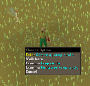 Crop Circle.png